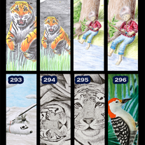 Bookmark | (individual)