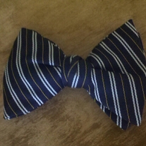 Blue Clip On Bowtie