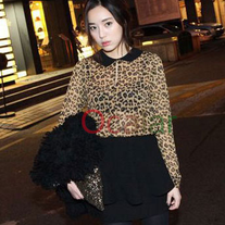 Cheetah_medium