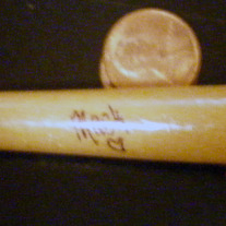 Mr Bat II