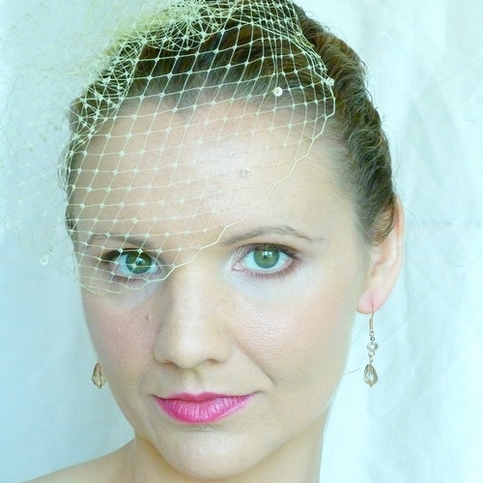 Champagne Birdcge Veil with Swarovski Crystals