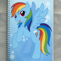 Notebook M - My Little Pony FiM: Rainbowdash (Fanart)
