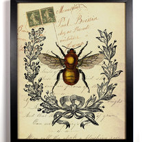 Image of Bee Insect Antique Illustration 8 x 10