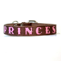 Onoma ~ 1" Width ~ Personalized Collar w. Color