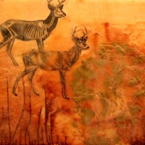amber deer wax encaustic - original mixed media painting 10x12