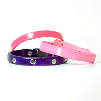 Colorful Cat Collar w. Flat Rivet Accent