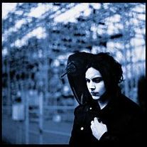 Blunderbuss_medium