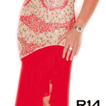 R014b_medium