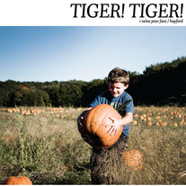 Tiger! Tiger! - I Salsa Your Face/Hayford 7" 