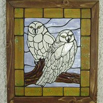 Snowy Owls