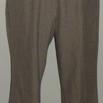 Tan Pants-Liz Lange Maternity Size 10