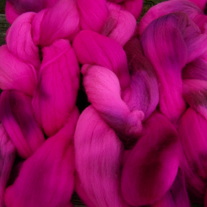 Fuchsia_20002_medium