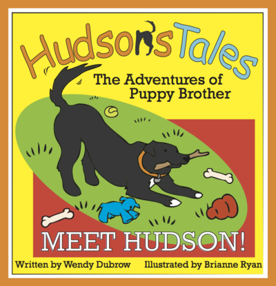 Hudson's Tales: The Adventures of Puppy Brother: Meet Hudson!