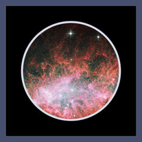 NGC 1569