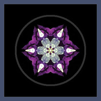 Purple Pansy I
