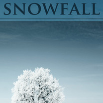 Snowfall