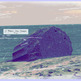 Log_at_beach_w_small
