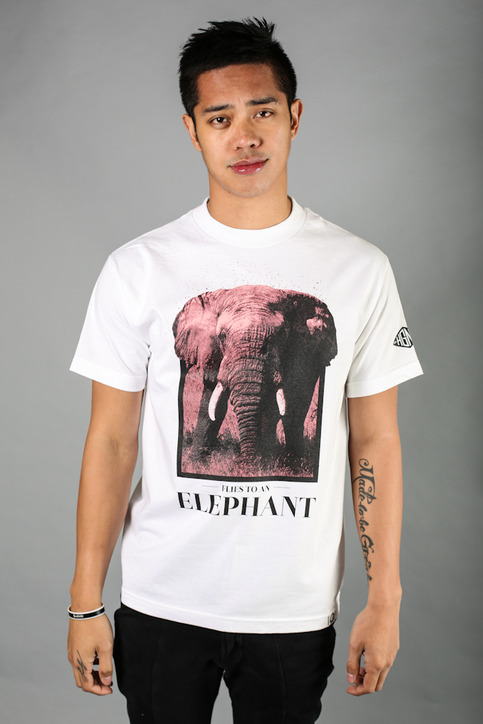 Flies to an Elephant