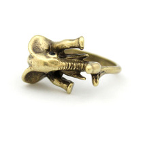 Elephant Ring 