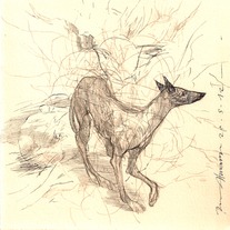 Drawing 0430
