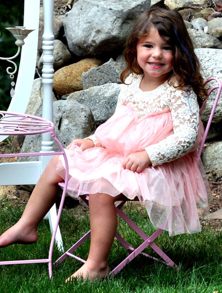The Vintage Lace Gia Dress PInk on Storenvy