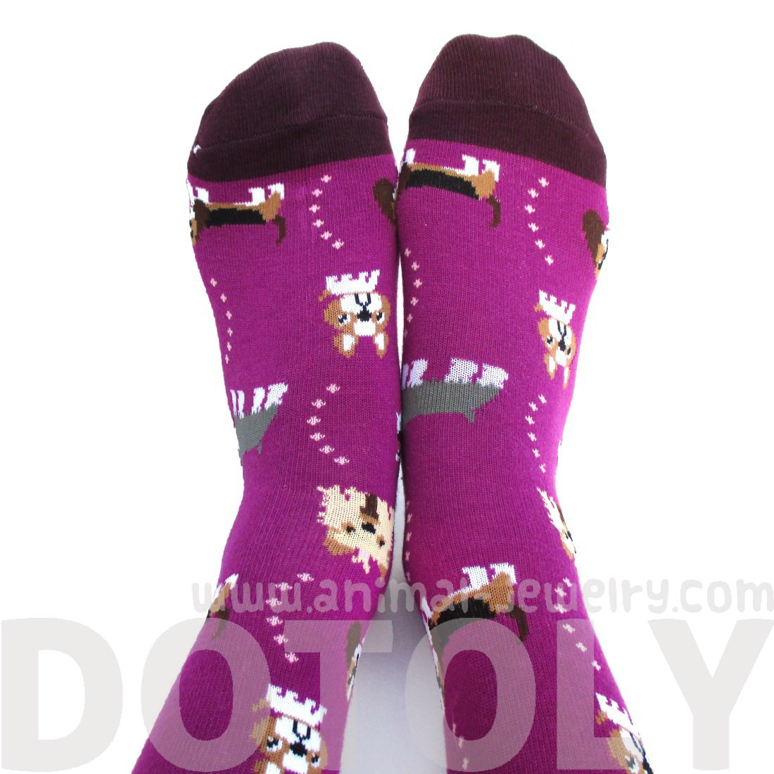 French Bulldog Cesky Yorkshire Terrier Basset Hound Novelty Dog Print