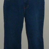 Denim Jeans with Fringe at Bottom-A. Gold E by Citizens of Humanity Size Small