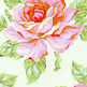 Hello_roses_cream_small