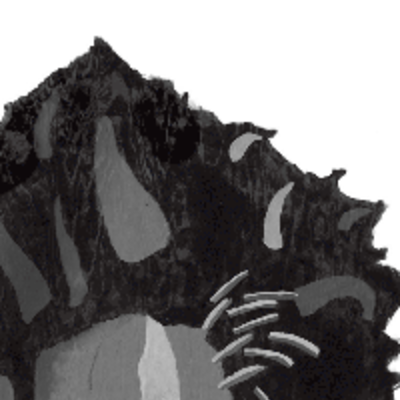 Supporting a survivor of sexual assault