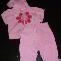 Pink Zip Hoodie with Pink Flower and Matching Pants-Just One Year by Carter's Size 6 Months  CLM1