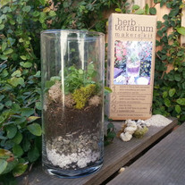 Herb-terrarium_1024x1024_medium