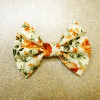 Orange Roses