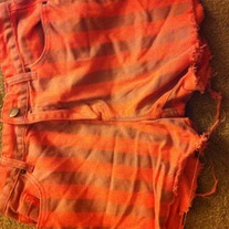 high waisted shorts