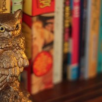 Golden Owl Bookend/Statue