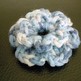 Dscn0428_small