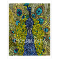 The-peacock02_medium