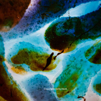 Abstract, 35mm Color