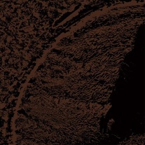 Cove "Black Sermon" 7"