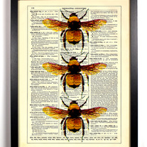 Image of Three Honey Bees, Vintage Dictionary Print, 8 x 10