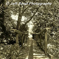 Imgp5935s_20_small__medium