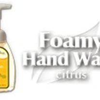 Foamycitrus_medium