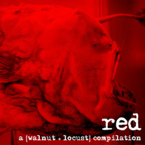 Walnut_wl001_medium