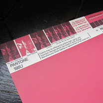 Vintage PANTONE® Poster - 198U - REDUCED PRICE