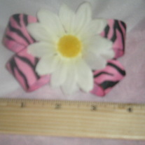 Pink zebra daisy bow