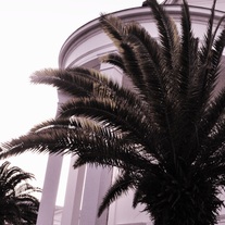 24_medium