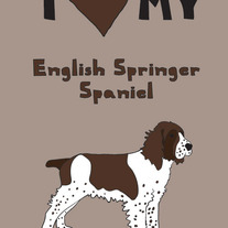 English Springer Spaniel, 5x7 print