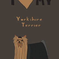 Yorkshire Terrier, 5x7 print