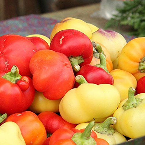 Alma Paprika Sweet Pepper Premium Seed Packet · Sherwood's Seeds