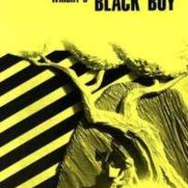 Cliffsnotes-black-boy-notes-carl-senna-paperback-cover-art_medium