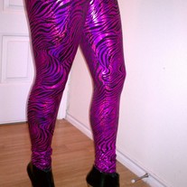 Zebra11_medium